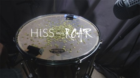 /products/hiss-and-a-roar-irl/